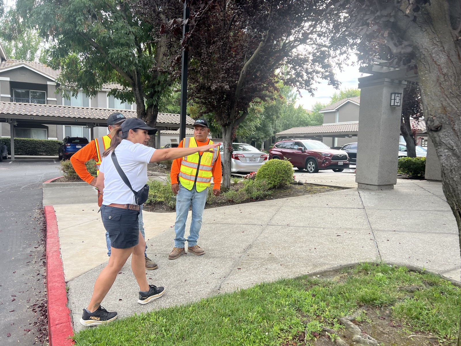 Owner Diana London directing her crew on site
