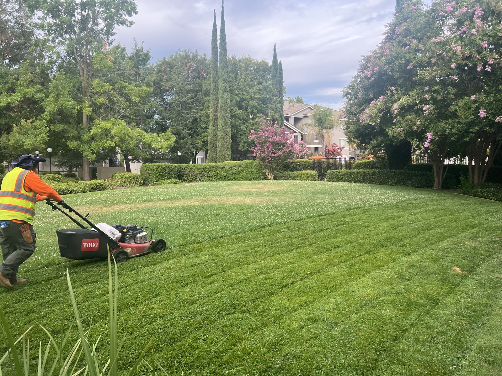 Emerald Green crew member mowing fresh stripes into a commercial lawn