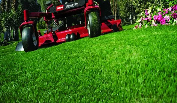 Weekly landscape maintenance